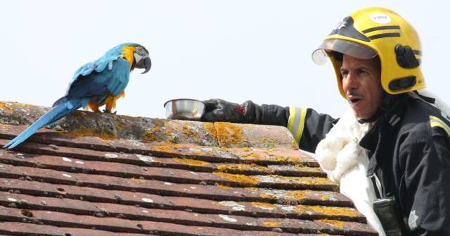 daily picdump 96 pics 41.html - 96 HD Photos | Premium Gallery 2018