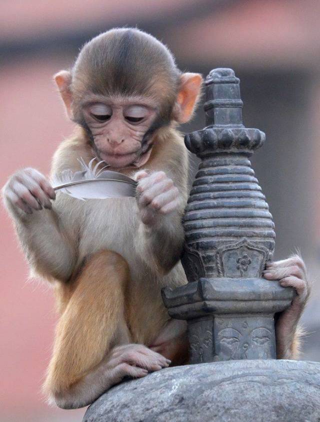 daily picdump 96 pics 41.html - 96 HD Photos | Premium Gallery 2018