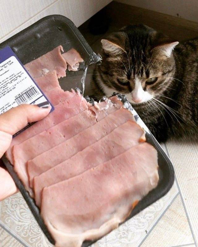 daily picdump 96 pics 41.html - 96 HD Photos | Premium Gallery 2018