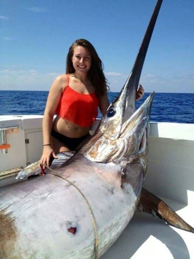 daily picdump 96 pics 41.html - 96 HD Photos | Premium Gallery 2018