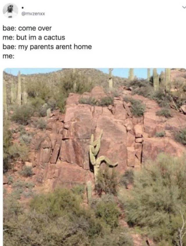 Dirty Mind, Come Here!