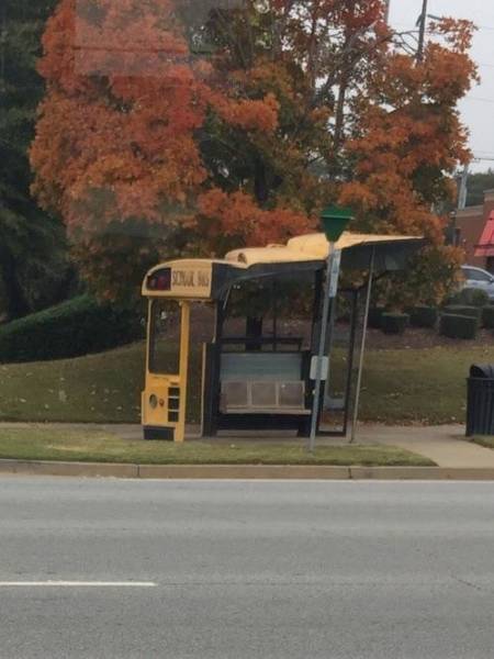 morning picdump 51 pics 1.html - 51 HD Photos | Premium Gallery 2018