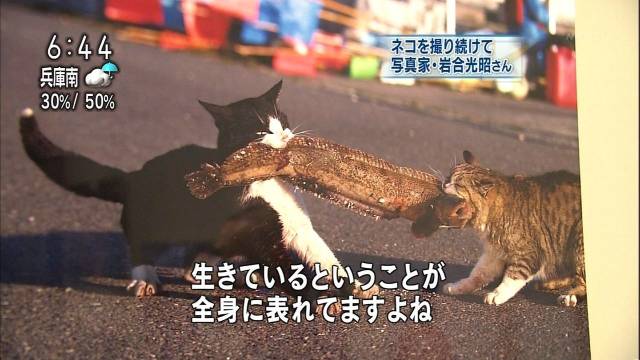 daily picdump 97 pics 45.html - 97 HD Photos | Premium Gallery 2018