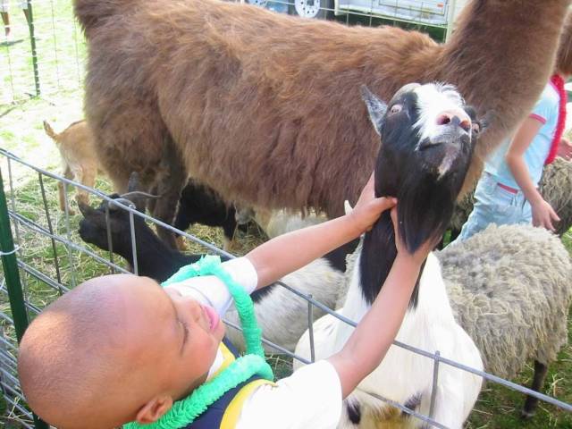 daily picdump 97 pics 45.html - 97 HD Photos | Premium Gallery 2018