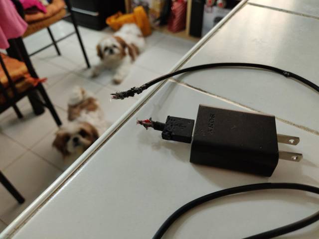 daily picdump 97 pics 45.html - 97 HD Photos | Premium Gallery 2018