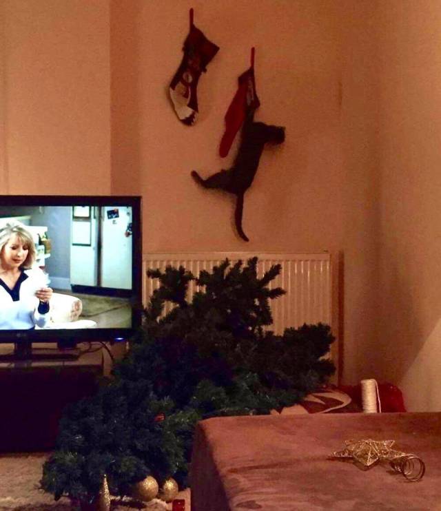 daily picdump 97 pics 45.html - 97 HD Photos | Premium Gallery 2018