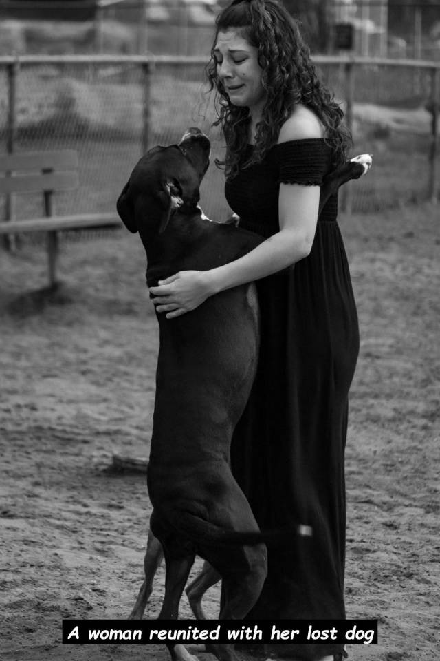 daily picdump 97 pics 45.html - 97 HD Photos | Premium Gallery 2018