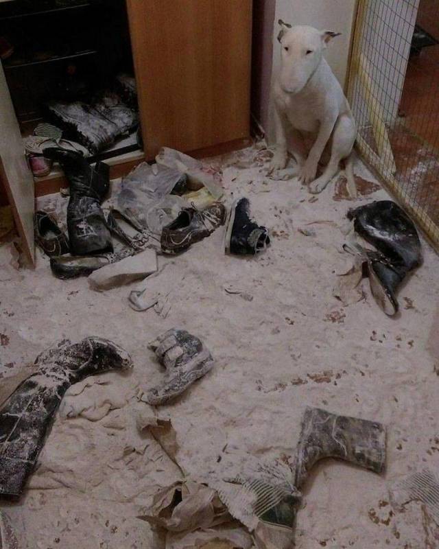 daily picdump 97 pics 45.html - 97 HD Photos | Premium Gallery 2018