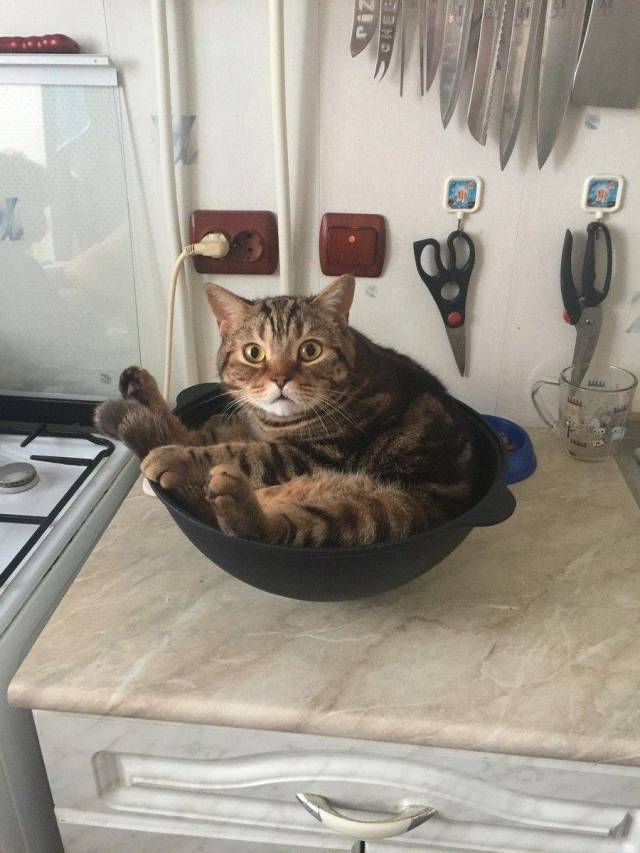 daily picdump 97 pics 45.html - 97 HD Photos | Premium Gallery 2018