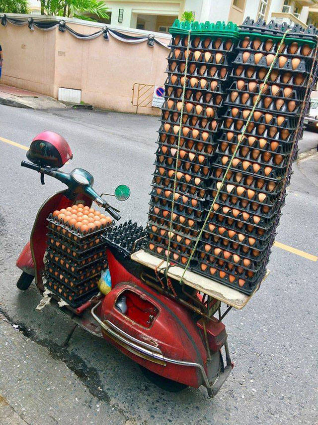 morning picdump 52 pics 8.html - 52 HD Photos | Premium Gallery 2018