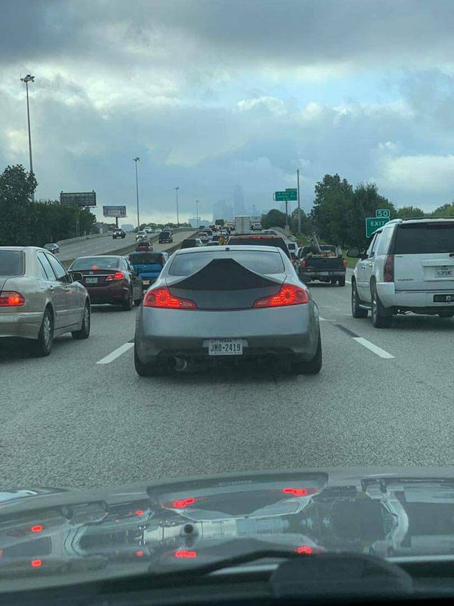 morning picdump 52 pics 8.html - 52 HD Photos | Premium Gallery 2018