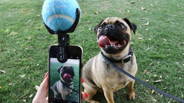 daily picdump 96 pics 42.html - 96 HD Photos | Premium Gallery 2018