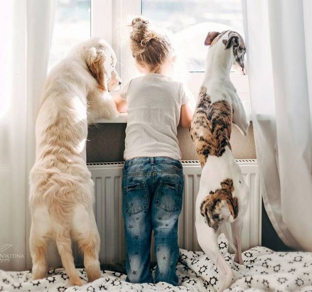 daily picdump 96 pics 42.html - 96 HD Photos | Premium Gallery 2018