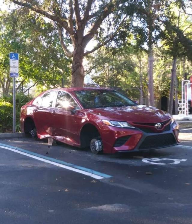 daily picdump 96 pics 42.html - 96 HD Photos | Premium Gallery 2018