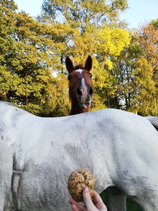 daily picdump 96 pics 42.html - 96 HD Photos | Premium Gallery 2018