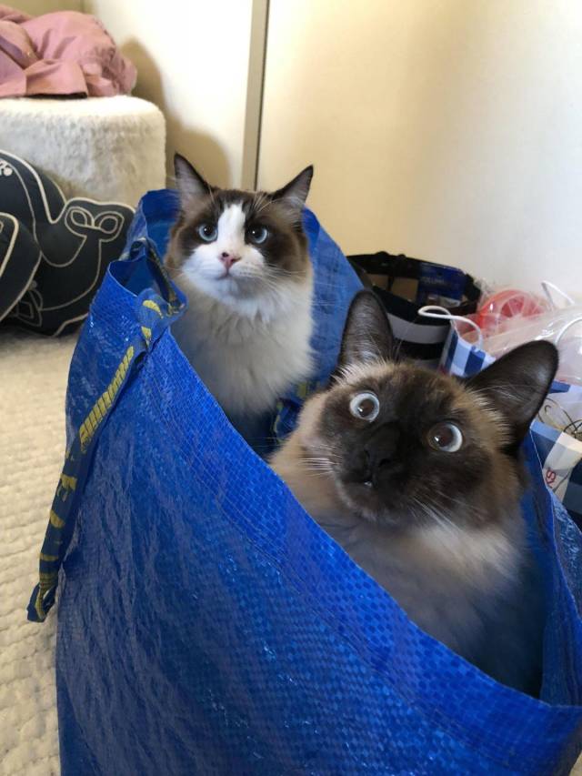 daily picdump 96 pics 42.html - 96 HD Photos | Premium Gallery 2018