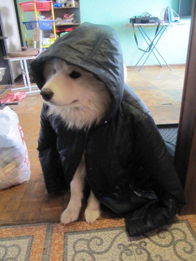 daily picdump 96 pics 42.html - 96 HD Photos | Premium Gallery 2018