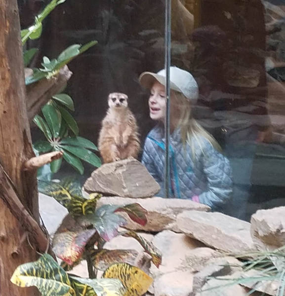 morning picdump 50 pics 11.html - 50 HD Photos | Premium Gallery 2018