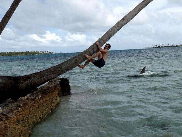 daily picdump 99 pics 19.html - 99 HD Photos | Premium Gallery 2018