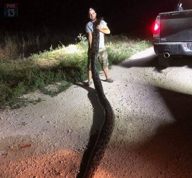 daily picdump 99 pics 19.html - 99 HD Photos | Premium Gallery 2018