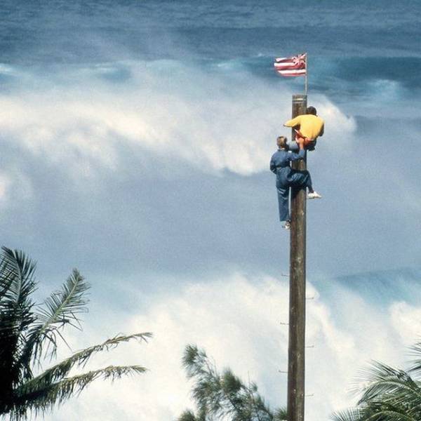 daily picdump 99 pics 19.html - 99 HD Photos | Premium Gallery 2018