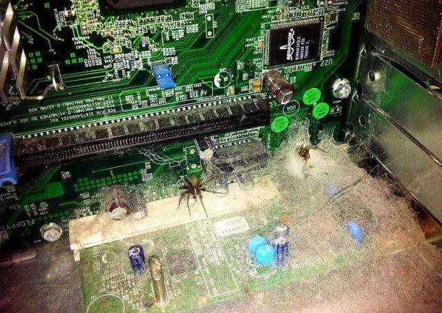 daily picdump 99 pics 19.html - 99 HD Photos | Premium Gallery 2018