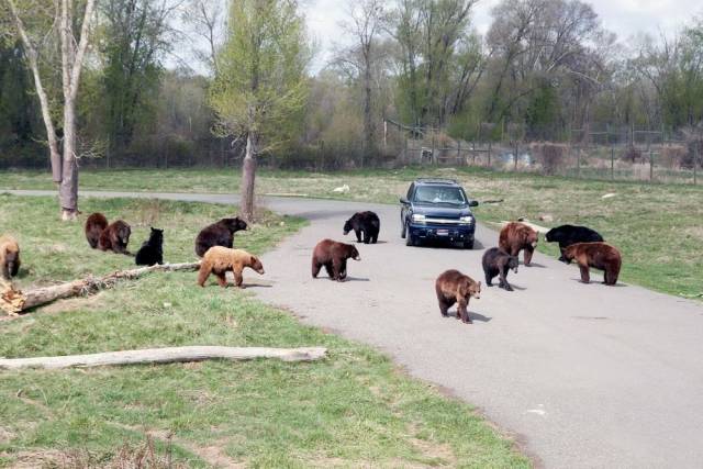 daily picdump 99 pics 19.html - 99 HD Photos | Premium Gallery 2018