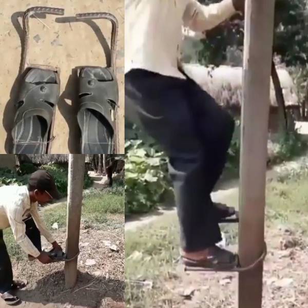 daily picdump 99 pics 19.html - 99 HD Photos | Premium Gallery 2018