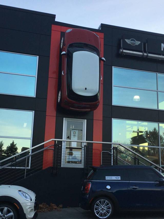 daily picdump 99 pics 19.html - 99 HD Photos | Premium Gallery 2018