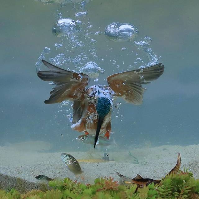 daily picdump 99 pics 19.html - 99 HD Photos | Premium Gallery 2018