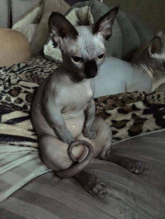 daily picdump 99 pics 19.html - 99 HD Photos | Premium Gallery 2018