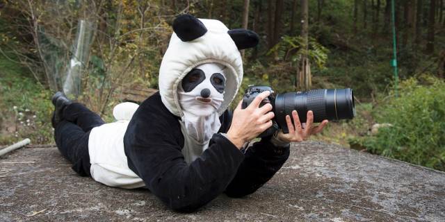 morning picdump 50 pics 3.html - 50 HD Photos | Premium Gallery 2018