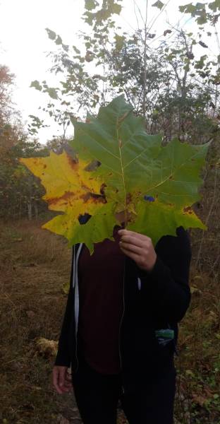 morning picdump 50 pics 3.html - 50 HD Photos | Premium Gallery 2018