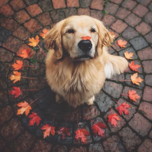 morning picdump 53 pics 15.html - 53 HD Photos | Premium Gallery 2018