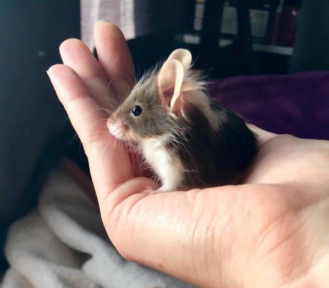 morning picdump 53 pics 15.html - 53 HD Photos | Premium Gallery 2018