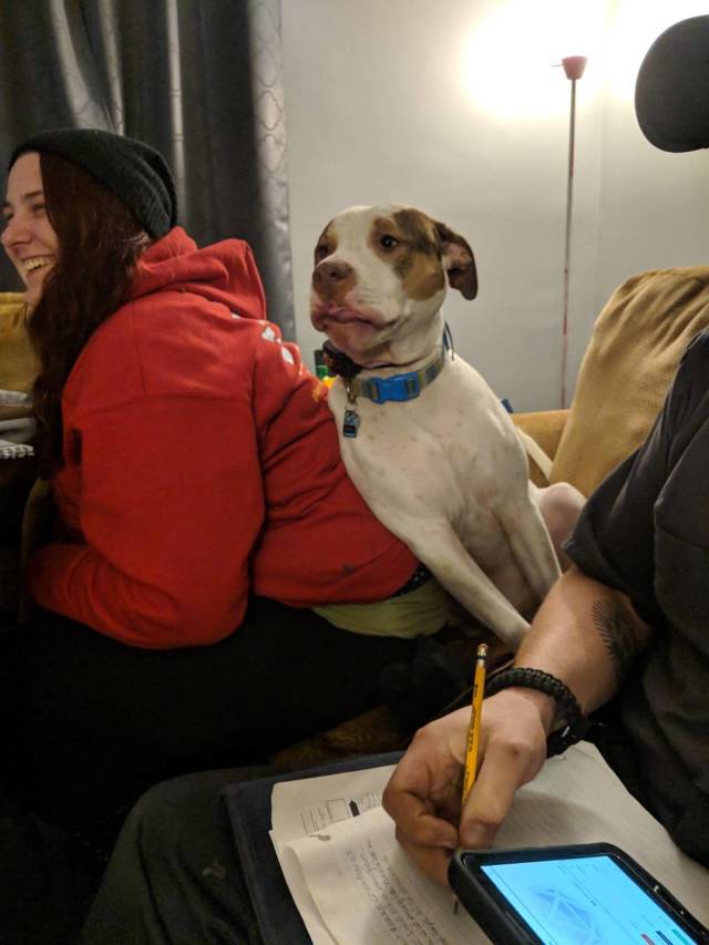 morning picdump 53 pics 47.html - 53 HD Photos | Premium Gallery 2018