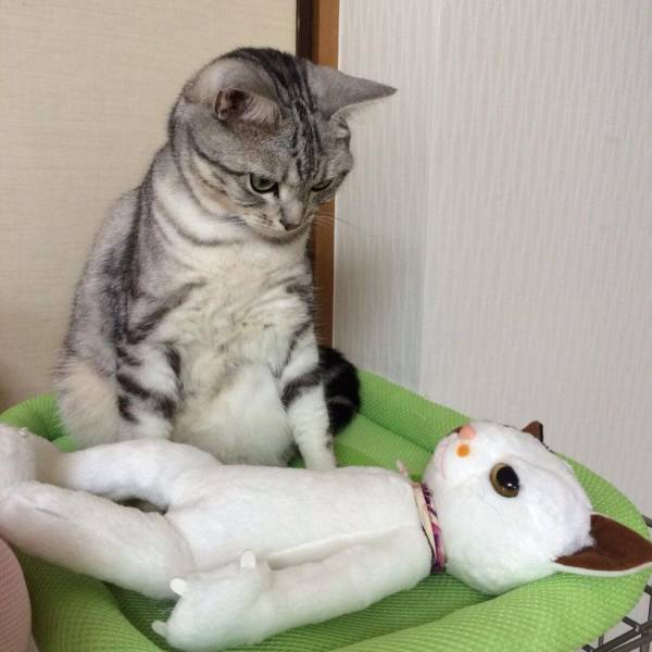 daily picdump 95 pics 9.html - 95 HD Photos | Premium Gallery 2018