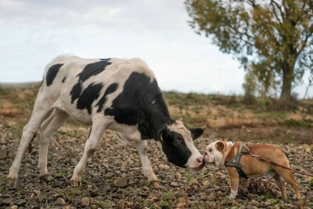 daily picdump 95 pics 9.html - 95 HD Photos | Premium Gallery 2018