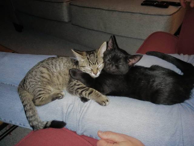 daily picdump 95 pics 9.html - 95 HD Photos | Premium Gallery 2018