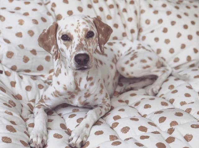 daily picdump 95 pics 9.html - 95 HD Photos | Premium Gallery 2018