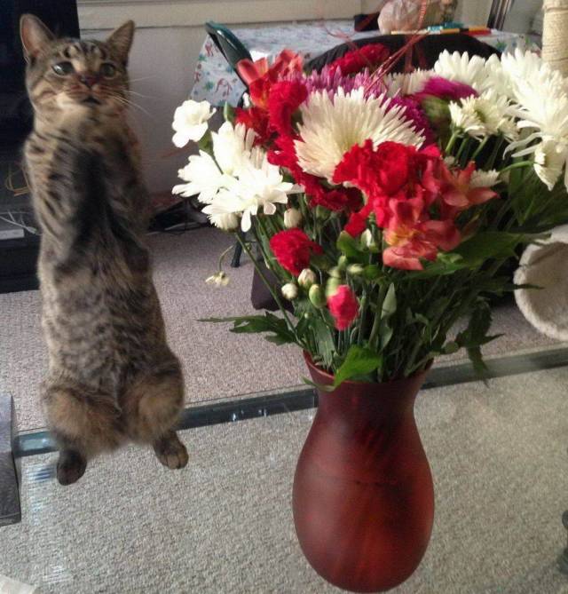 daily picdump 95 pics 9.html - 95 HD Photos | Premium Gallery 2018