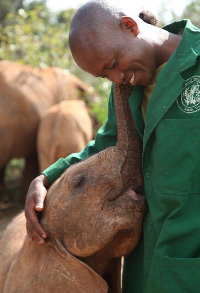 daily picdump 95 pics 9.html - 95 HD Photos | Premium Gallery 2018