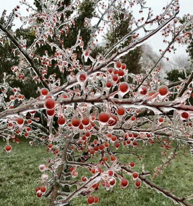 daily picdump 95 pics 9.html - 95 HD Photos | Premium Gallery 2018