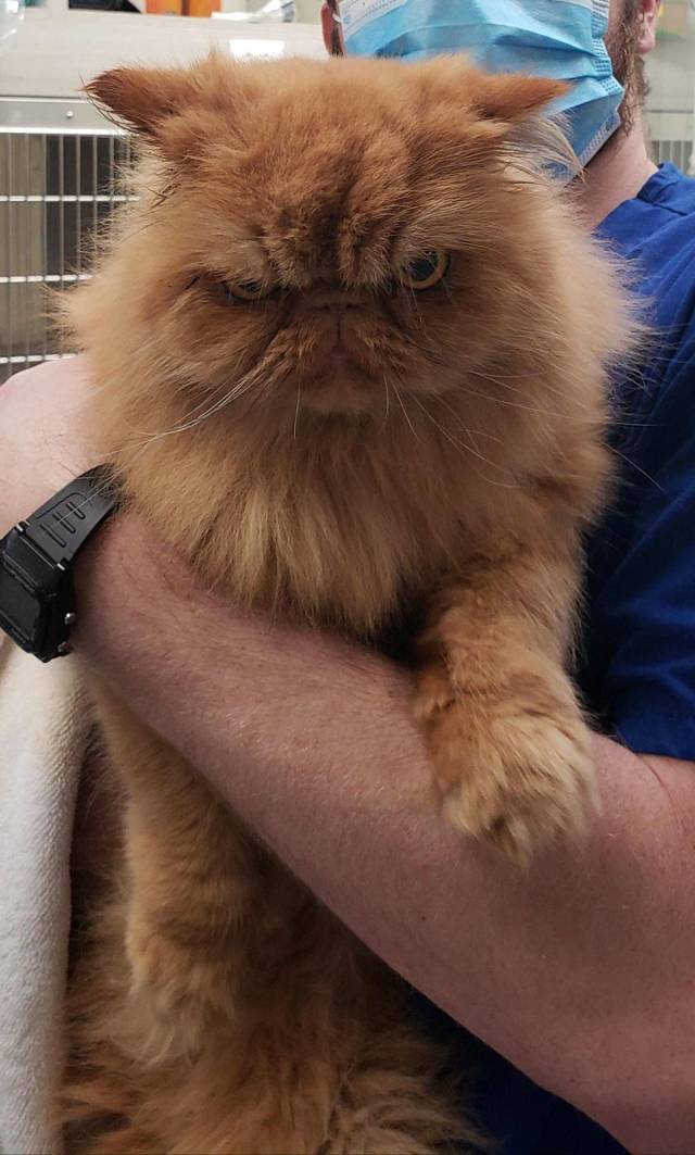 daily picdump 95 pics 9.html - 95 HD Photos | Premium Gallery 2018