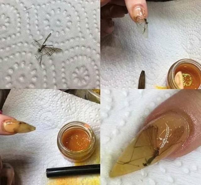 Hard-to-explain WTF Photos