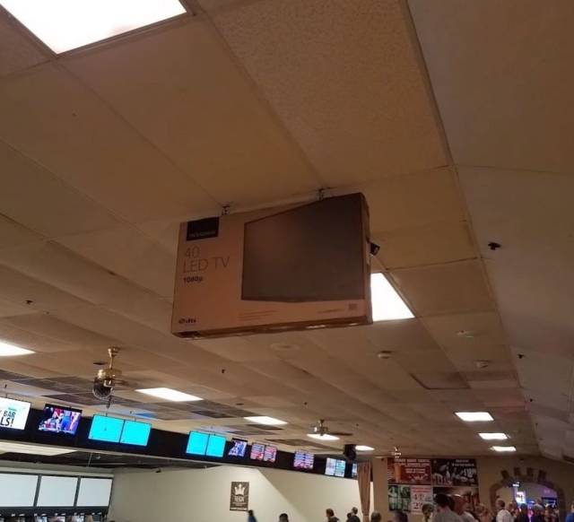 Hard-to-explain WTF Photos