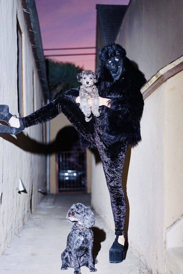 Hard-to-explain WTF Photos