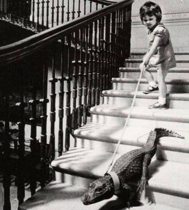 Hard-to-explain WTF Photos