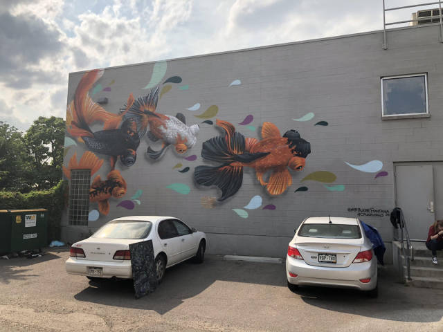 morning picdump 50 pics 4.html - 50 HD Photos | Premium Gallery 2018