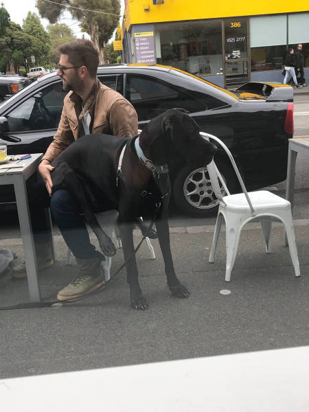 morning picdump 50 pics 4.html - 50 HD Photos | Premium Gallery 2018